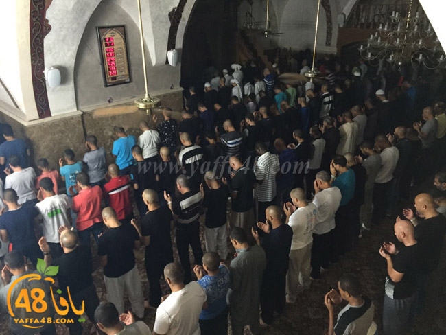 qader yaffa msajed (11).jpg